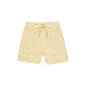 Rylee + Cru Collective Girls  Terry Short